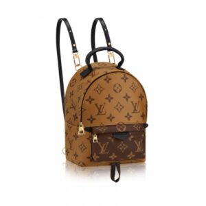 Louis Vuitton Palm Springs Mini Bagpack Reverse Women Bag